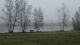 Dieksee1